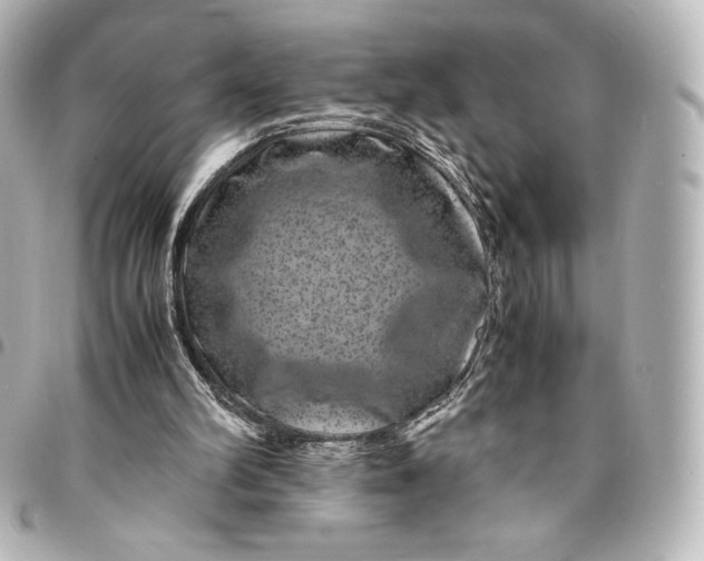 X0000095540102200712281553