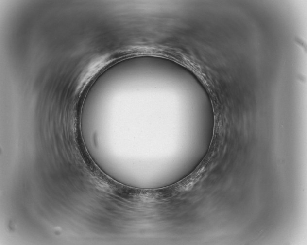 X0000095540103200712281553