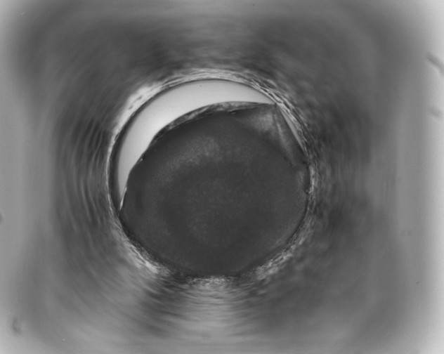 X0000095540104200712281553