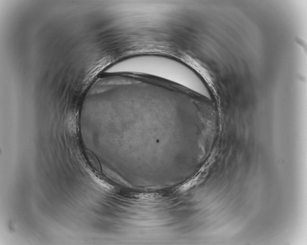 X0000095540105200712281553