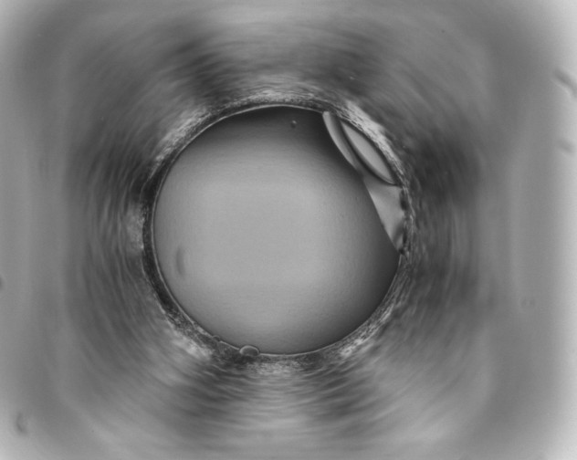 X0000095540106200712281553