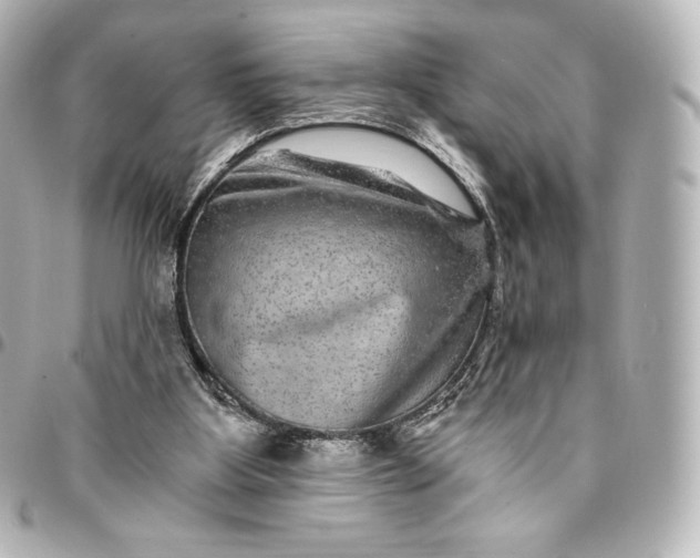 X0000095540107200712281553