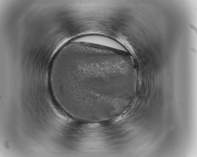 X0000095540108200712281553