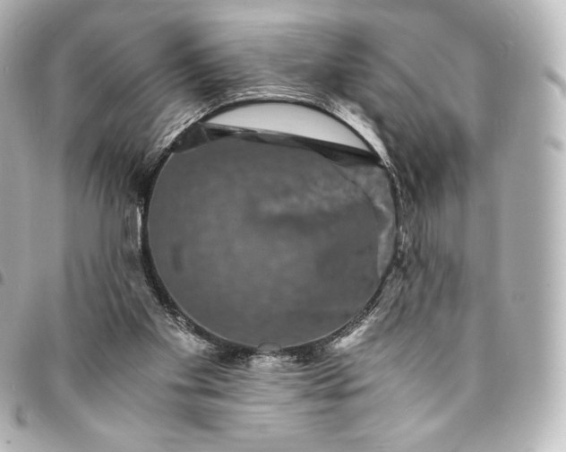 X0000095540109200712281553