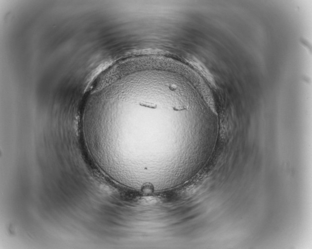 X0000095540111200712281553