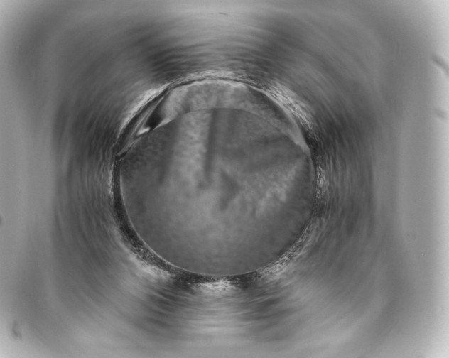 X0000095540112200712281553