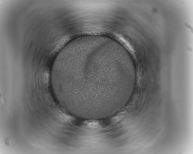 X0000095540113200712281553