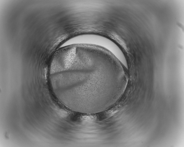 X0000095540115200712281553