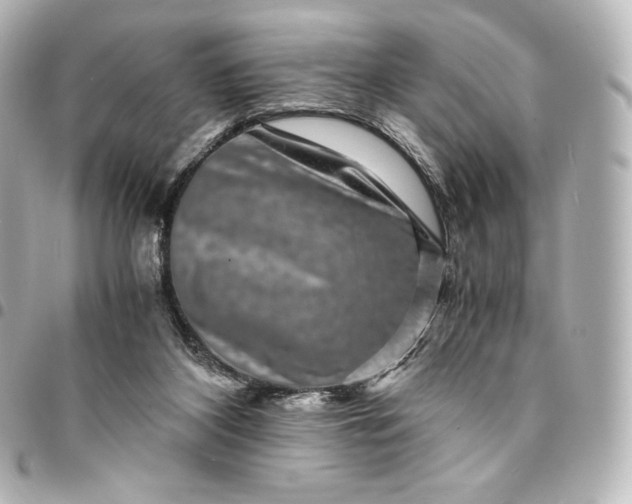 X0000095540116200712281553