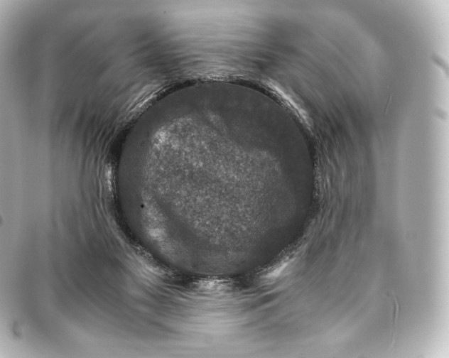 X0000095540117200712281553