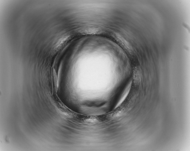 X0000095540119200712281553