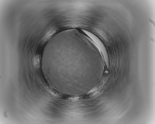 X0000095540120200712281553