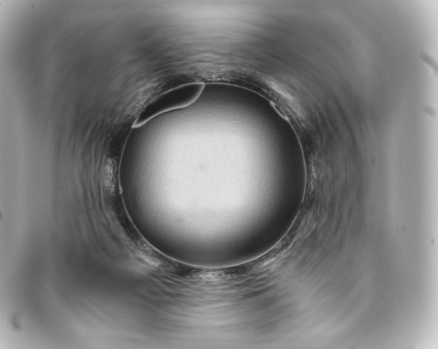 X0000095540121200712281553