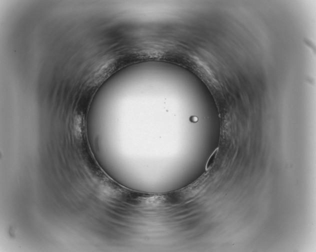 X0000095540122200712281553