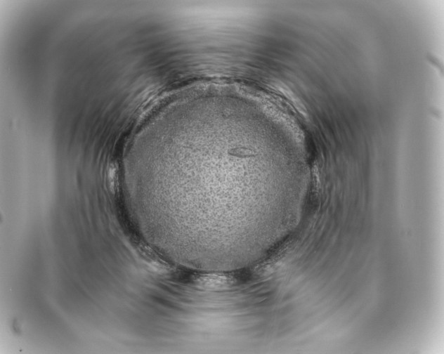 X0000095540123200712281553