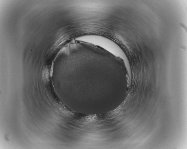 X0000095540124200712281553