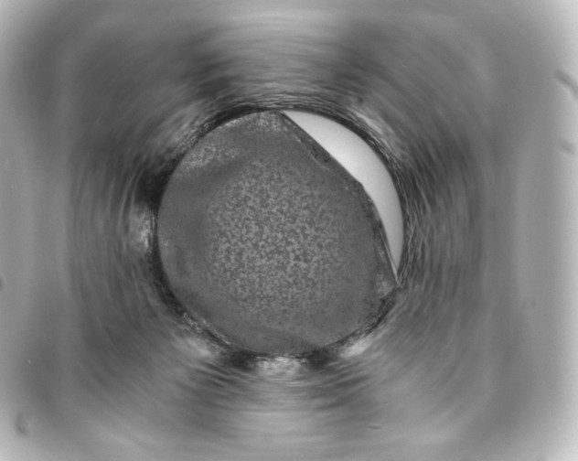 X0000095540125200712281553