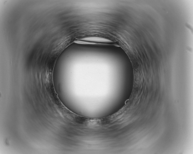 X0000095540126200712281553