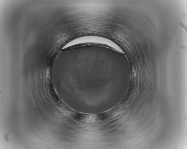 X0000095540127200712281553