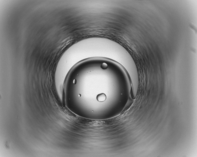 X0000095540128200712281553