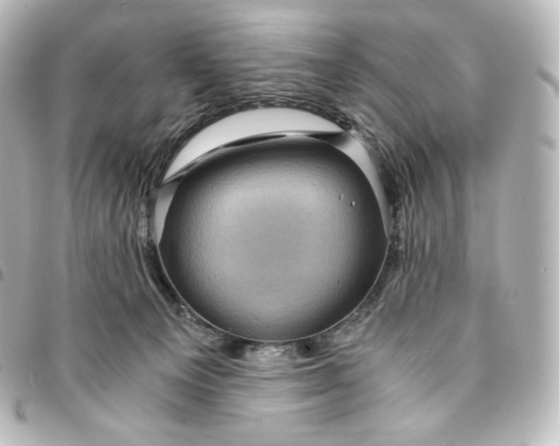 X0000095540129200712281553