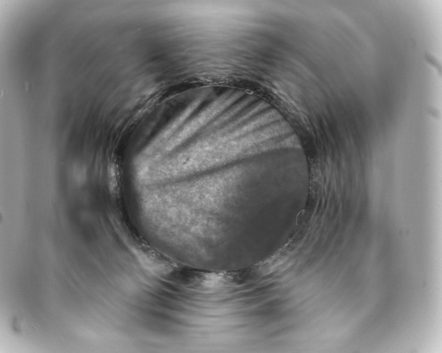 X0000095540130200712281553