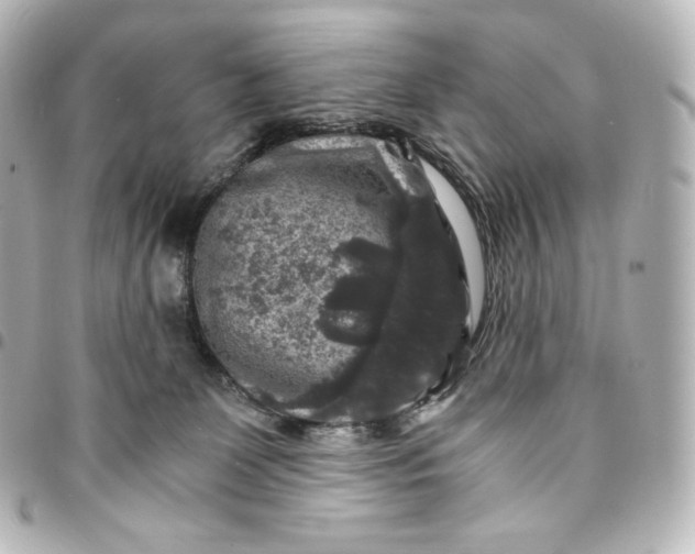 X0000095540131200712281553