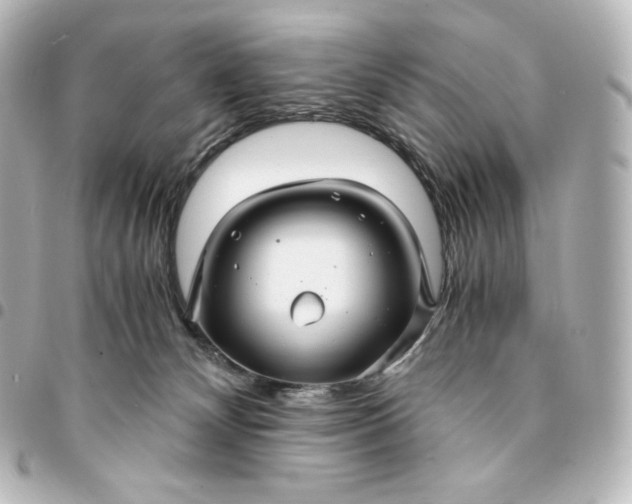 X0000095540132200712281553