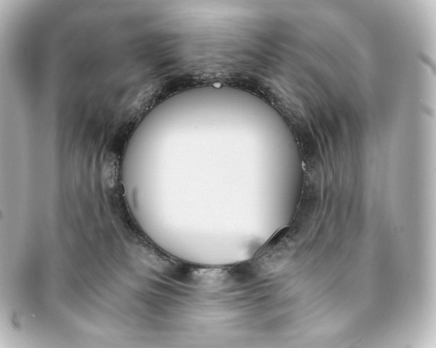 X0000095540133200712281553