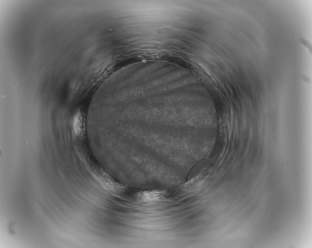 X0000095540134200712281553