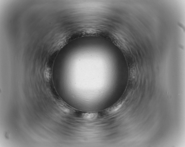 X0000095540135200712281552