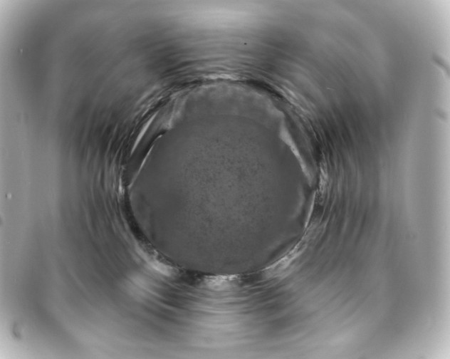 X0000095540136200712281552