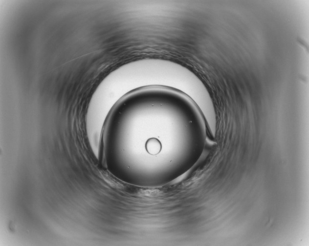 X0000095540137200712281552