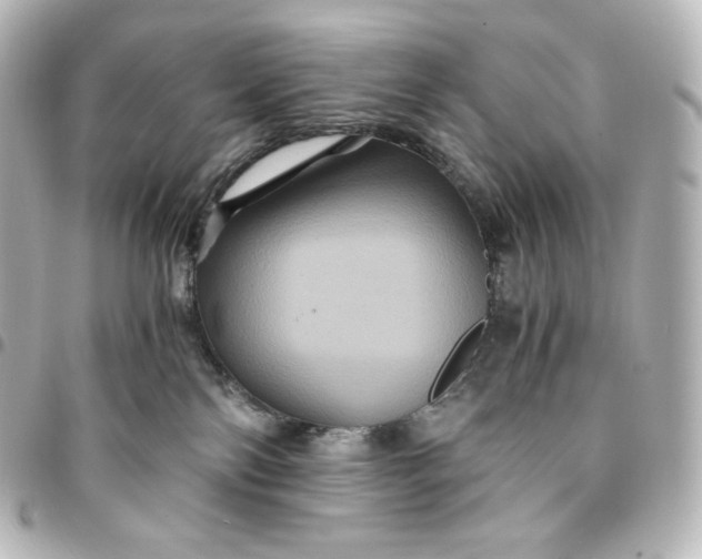 X0000095540138200712281552