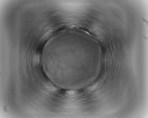 X0000095540139200712281552