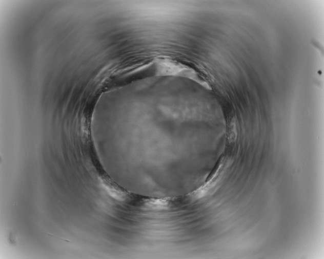 X0000095540140200712281552