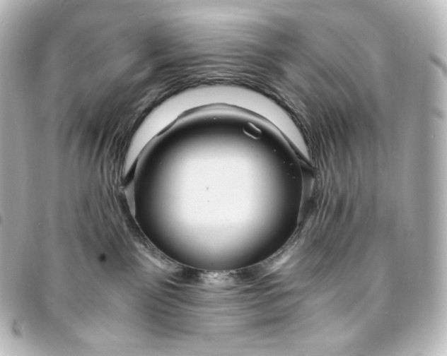 X0000095540141200712281552