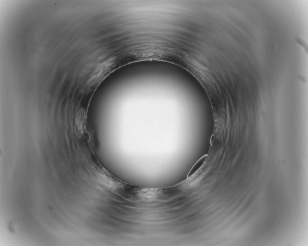 X0000095540142200712281552