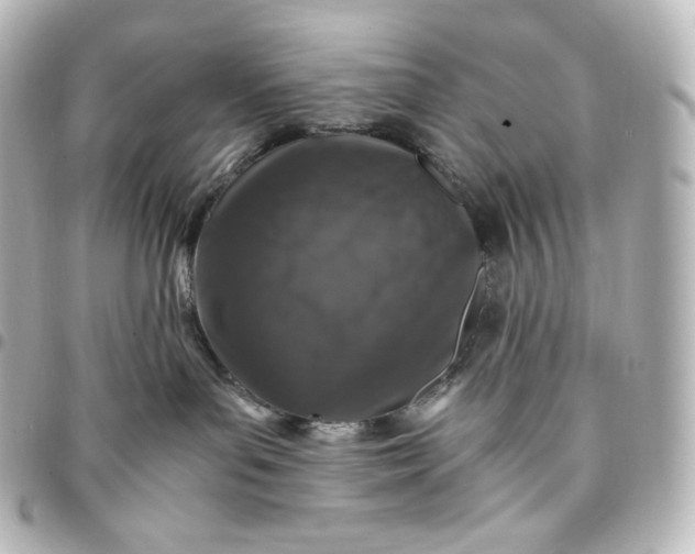 X0000095540143200712281552