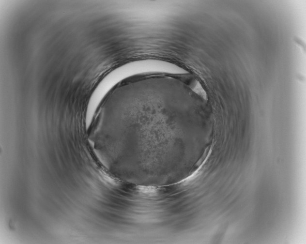 X0000095540144200712281552