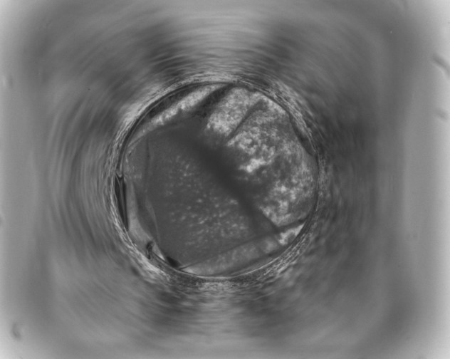 X0000095540145200712281552