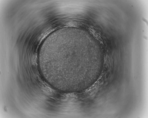 X0000095540146200712281552