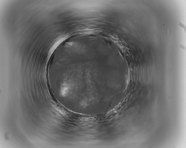 X0000095540147200712281552