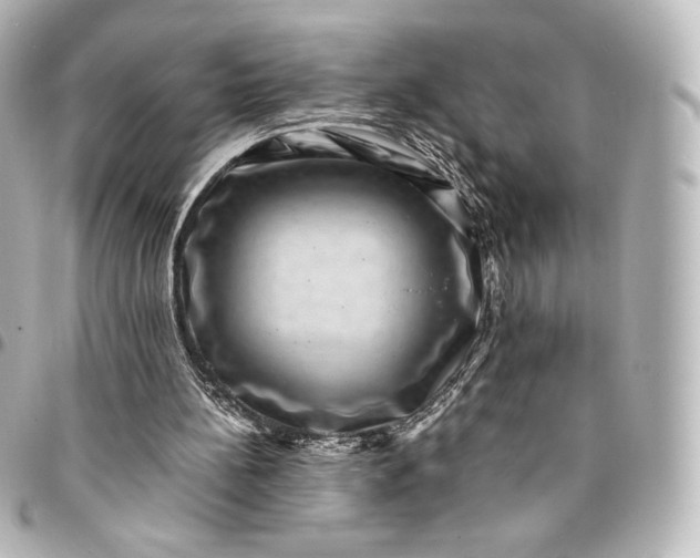 X0000095540148200712281552