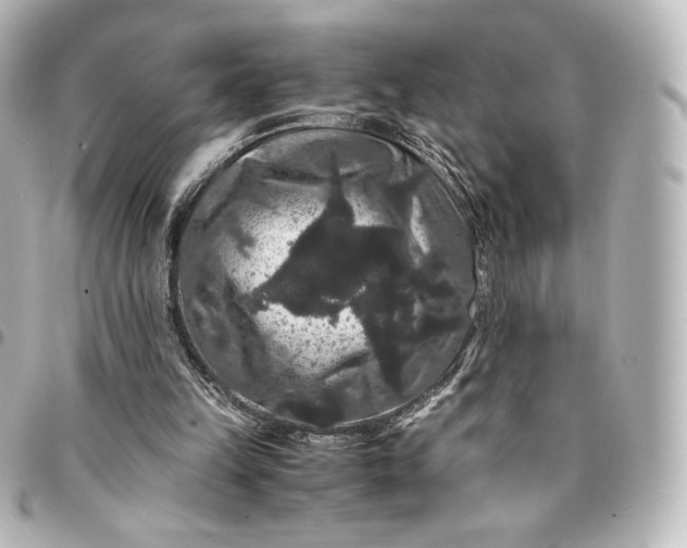 X0000095540149200712281552