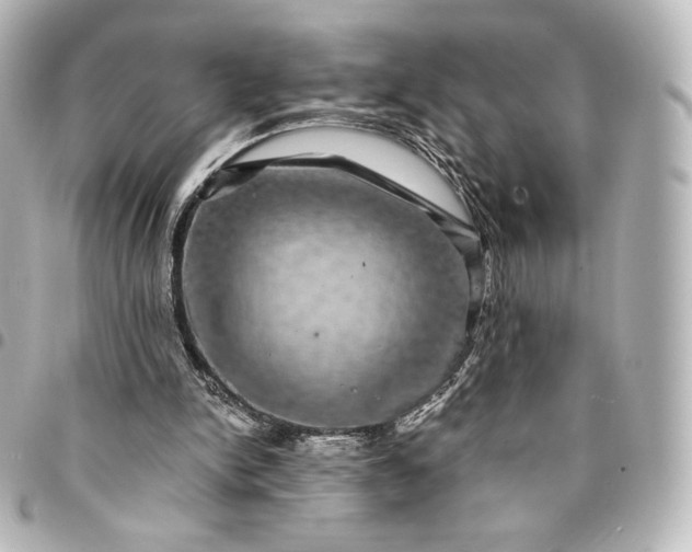 X0000095540150200712281552