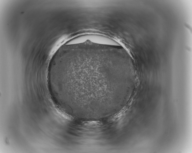 X0000095540151200712281552