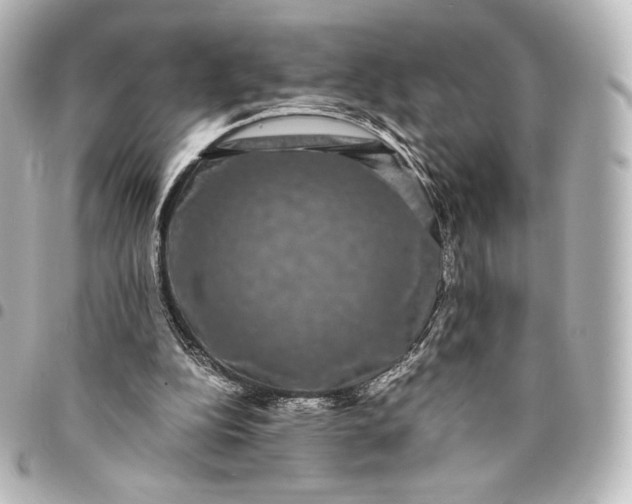 X0000095540152200712281552