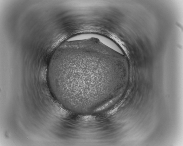 X0000095540153200712281552