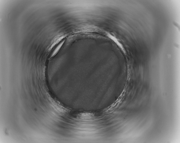 X0000095540154200712281552